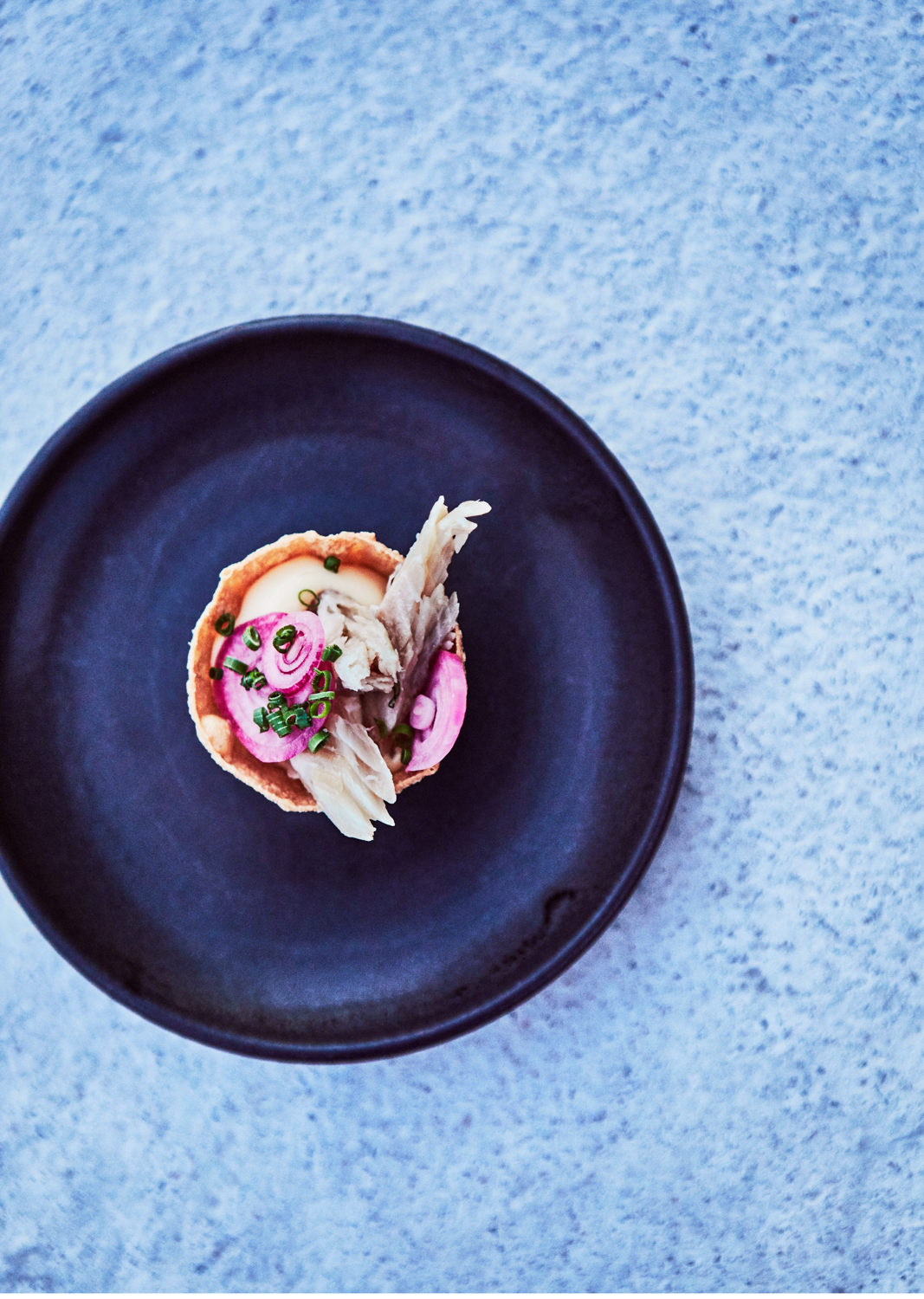 455_JZARINS_CNT_Nku_1198 1