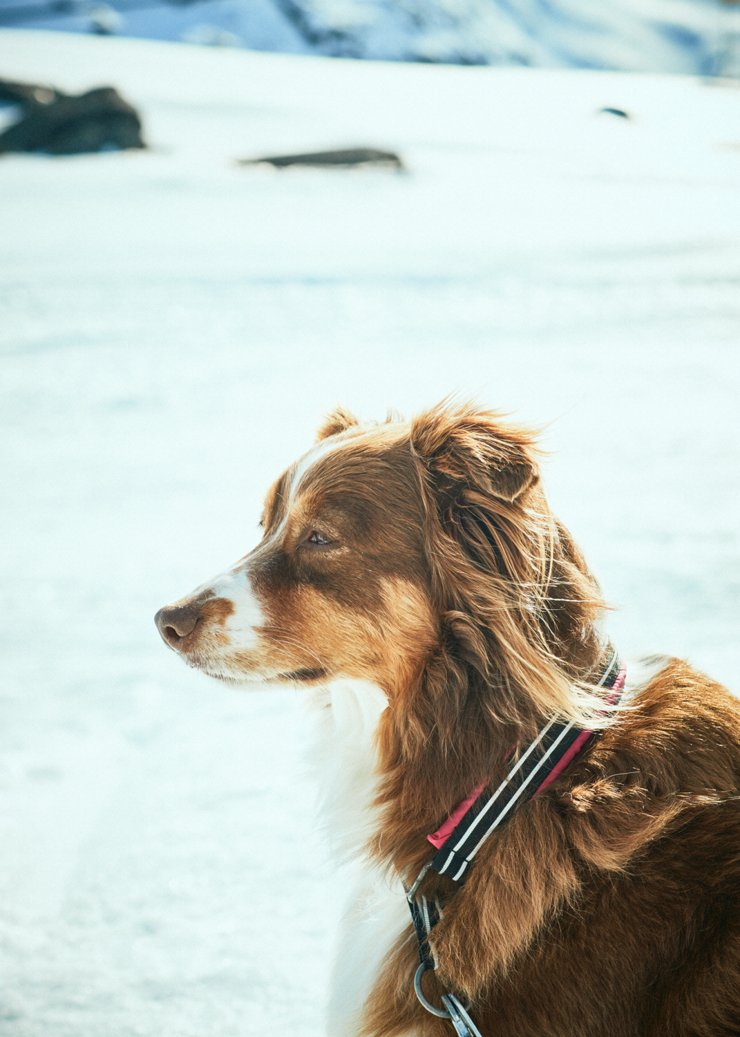 455_JZARINS_CNT_Nku_783